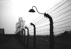 il reticolaro di Auschwitz
